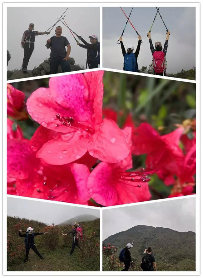 3月29日，云浮新興縣登天麓山&賞杜鵑花