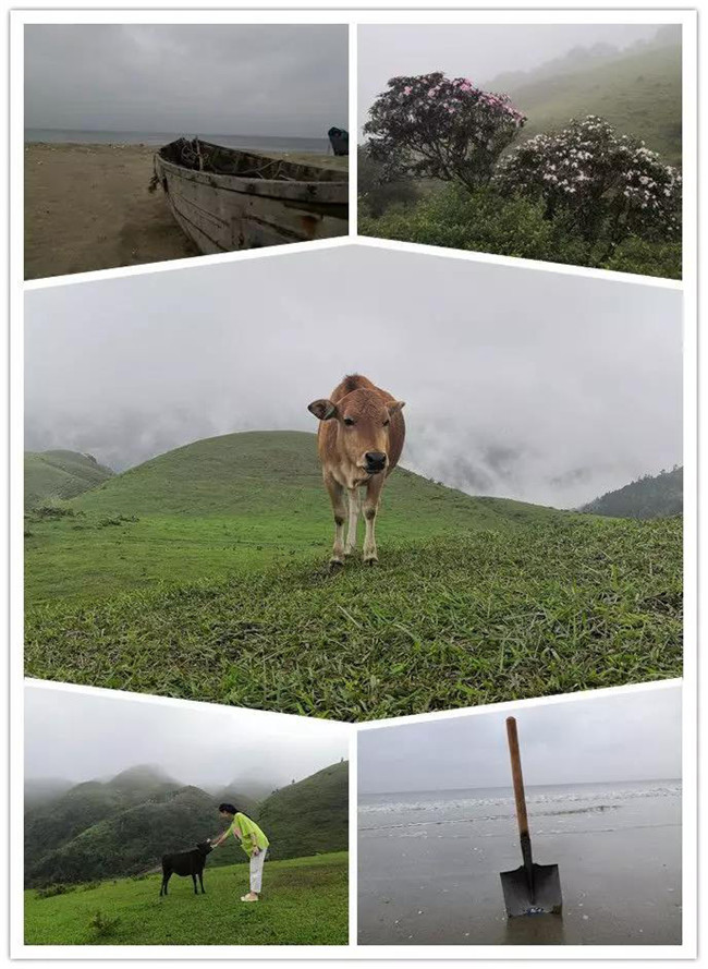 5月1日，陽西藍袍藍看海，陽春雞籠頂登山賞高山杜鵑