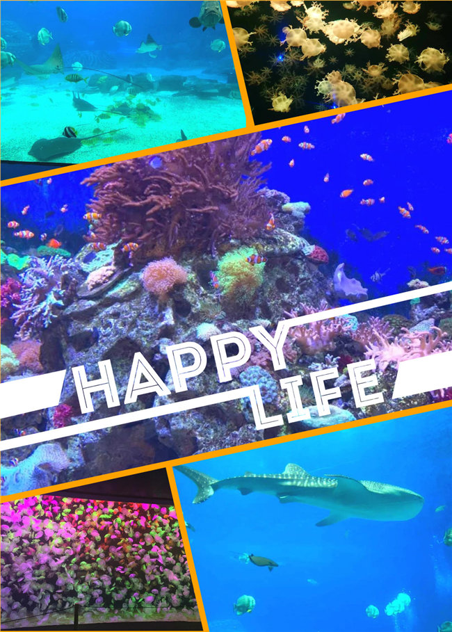 廣東博皓親子游：珠海長隆海洋王國，探索海洋生物的奧秘，奇妙的動物世界