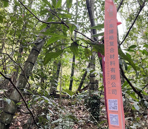 凝心聚力再出發(fā)，風雨同舟赴星溪！--廣東博皓2024龍年首登星溪之旅     -2