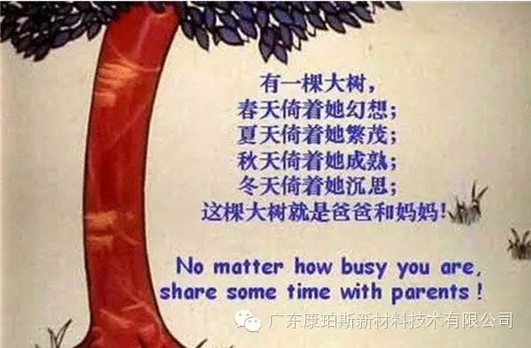樹就是我們的父母！請愛護你們身邊的這棵樹！